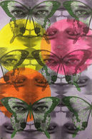 Spring Fly Back #1, 48 x 32 inches, paint, paper on wood, 2022.jpeg