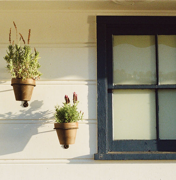 Window and Planters