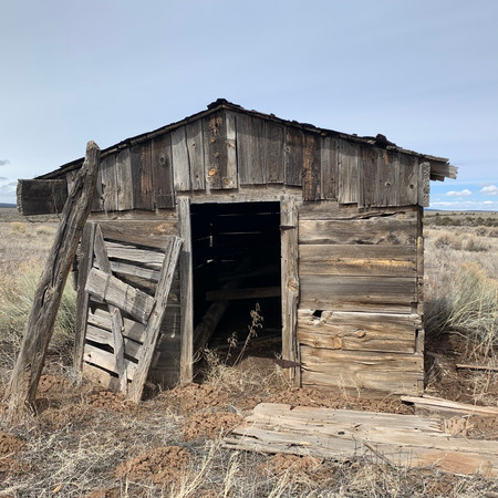 The Out House