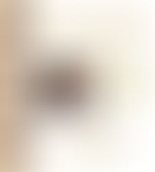 O projeto de pesquisa e extensão “Uma história crítica da ciência: da idade da pedra à nanociência e