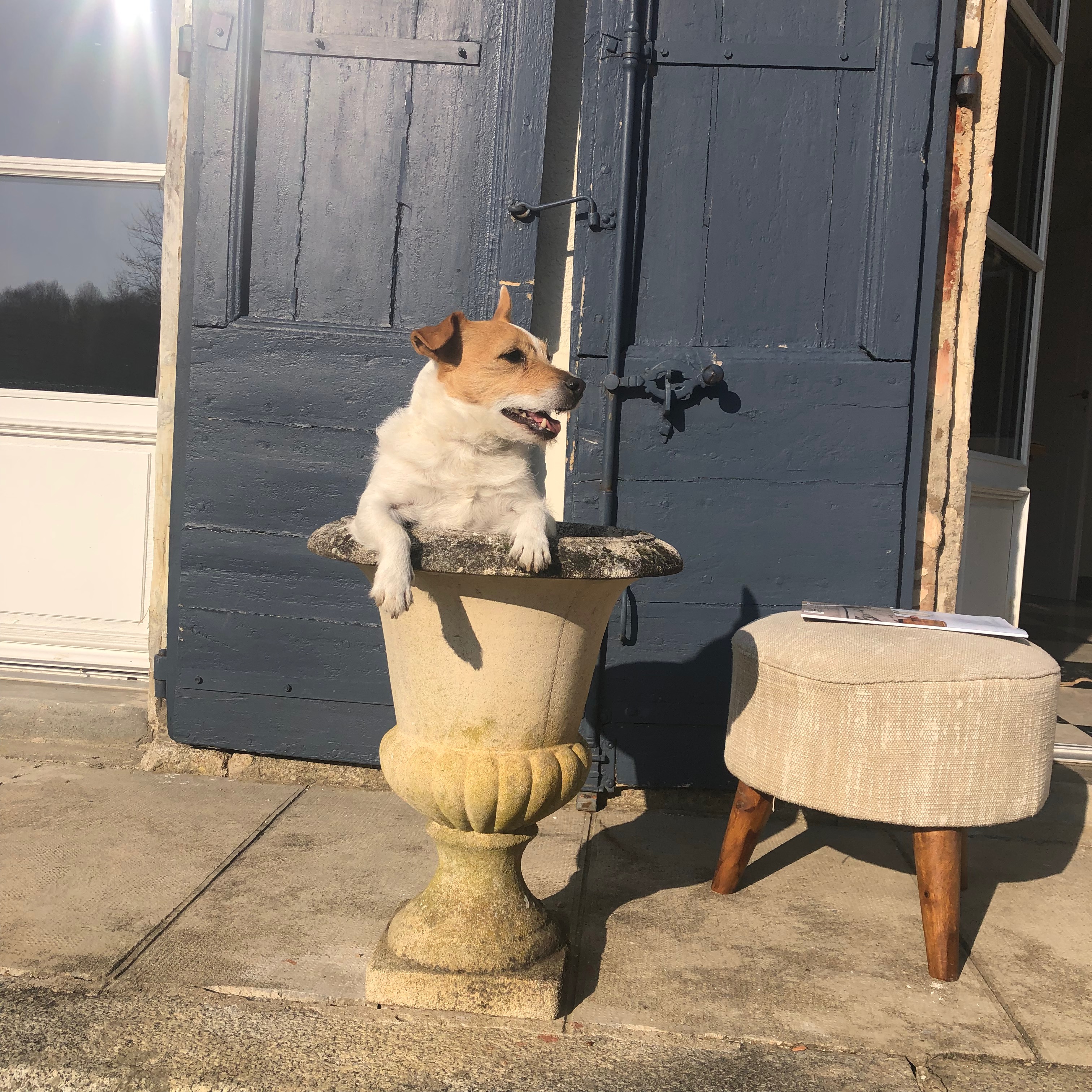 Photo du rédacteur: Sophie Boonstoppel