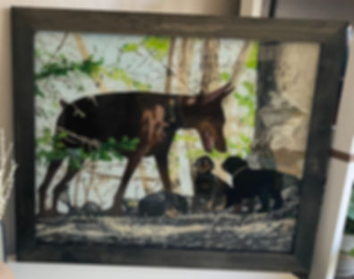 Special Commission Paintings