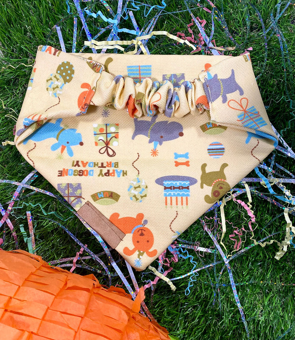 Thumbnail: Dog Birthday Celebration