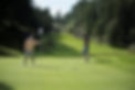 Mandal-Golfklubb-scaled.jpg