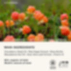 Miniatyrbild: Cloudberry / Red Algae Day Cream 50g