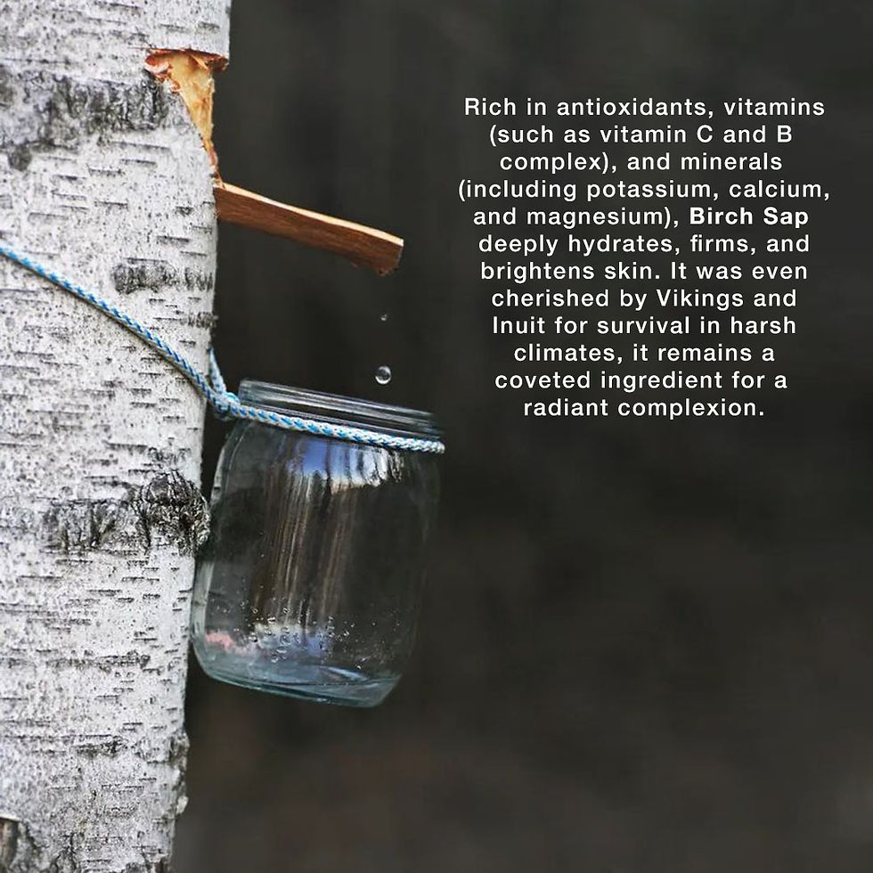 Miniatyrbild: Birch Sap Facial Cleanser 100ml