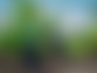 International Mother Earth Day 2026: Healing Our Land Through Agroecology