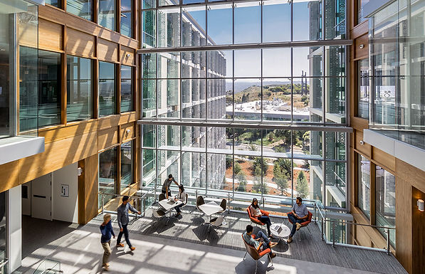 Genentech Masterplan