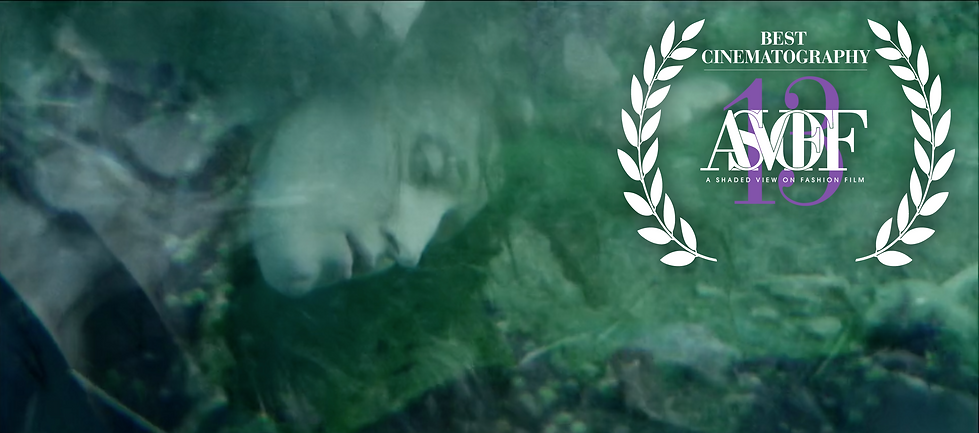 BEST CINEMATOGRAPHY - MISTRESS OF THE INNER WORLD BY LILLI MOORS.png
