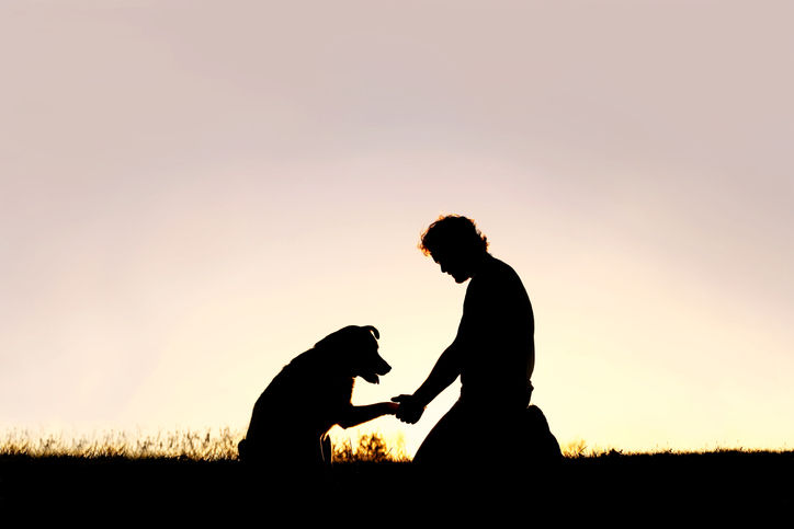 Silhouette of a person and a dog shaking paws at sunset
