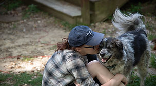 dogwhispereratllc125.jpg