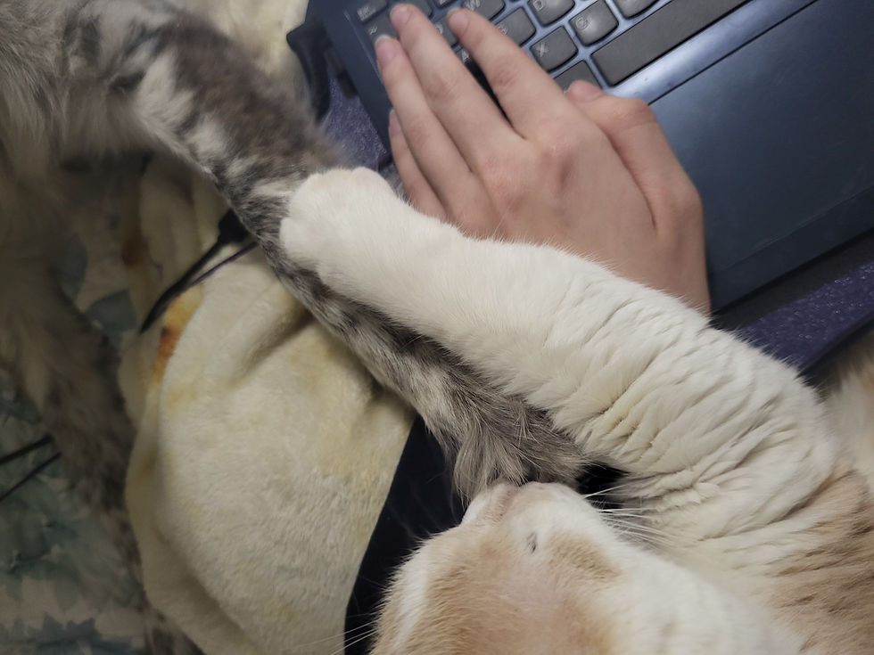 All in this together