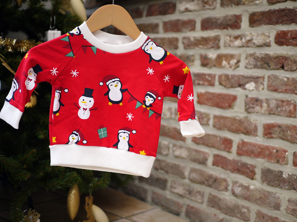 Miniature : Sweatshirt de noel 