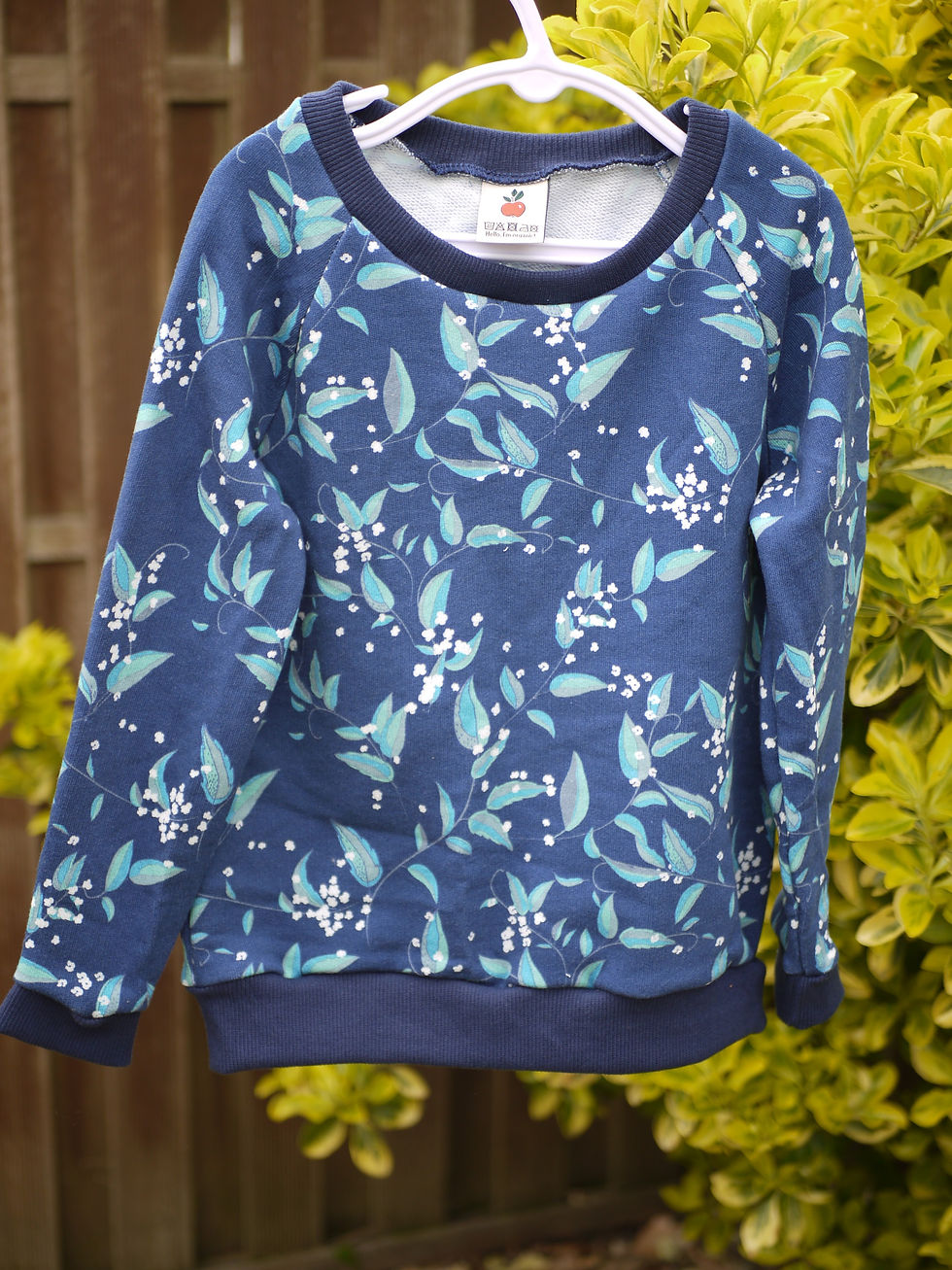 Miniature : Sweatshirt 5-6 ans 