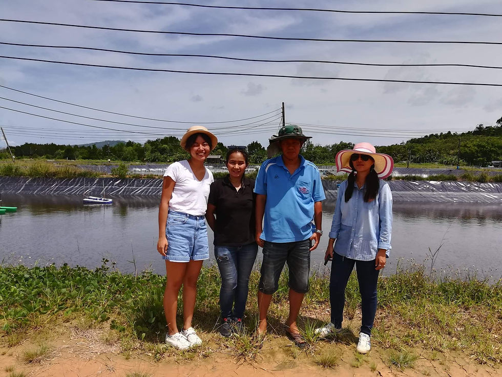 Visit at a shrimp farm