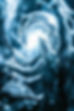 DSC00446-Enhanced-NR-4.jpeg