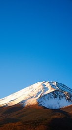 スクリーンショット 2025-11-30 23.58.43.png