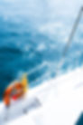 L1212289-2.jpg
