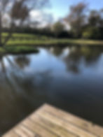 Pond and wooden dock installation in Waterford, Virginia.