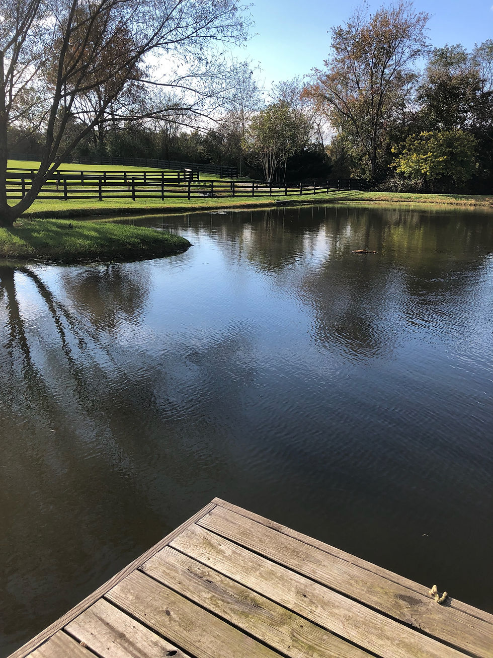 Pond and wooden dock installation in Waterford, Virginia.