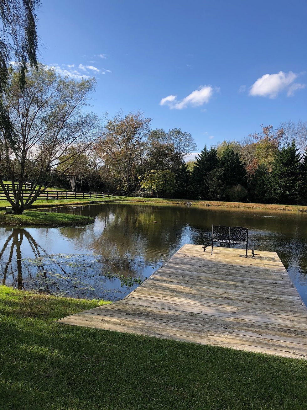 Pond and wooden dock installation in Waterford, Virginia.