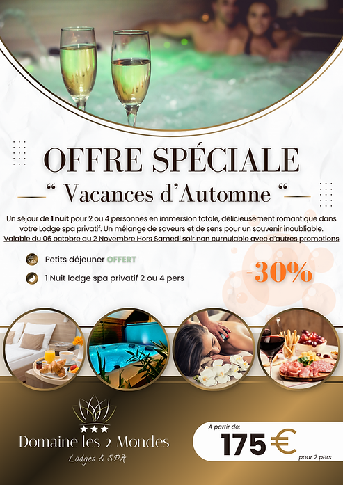 White and Dark Brown Modern Luxury Hotel and Resort Online Booking Promotion Flyer (1).png