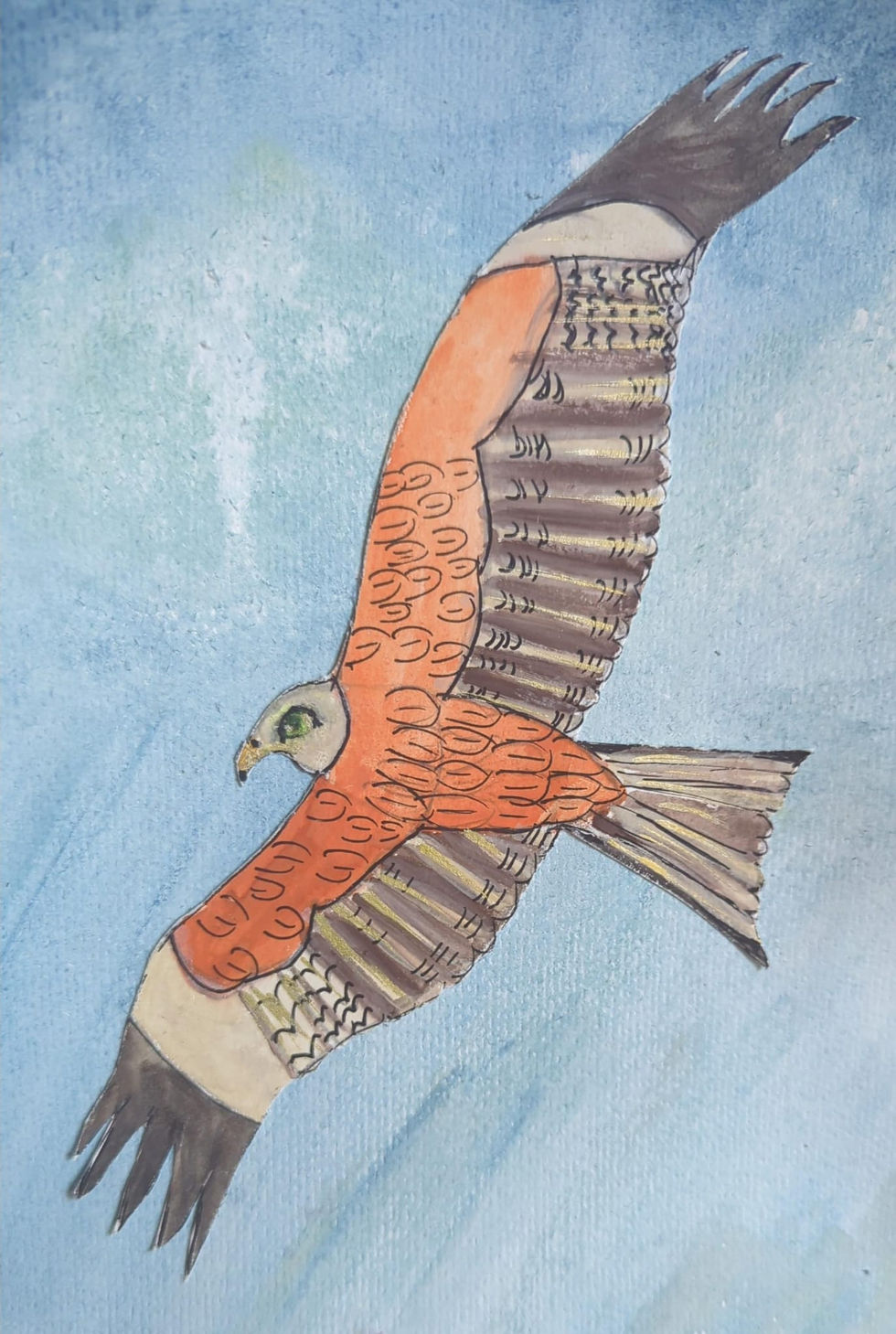 The illustration of Red Kite in Flight