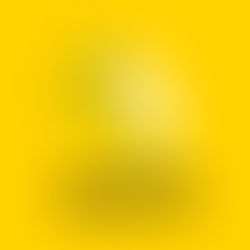 Skate Australia and Skate NSW Launch National Integrity Management Platform