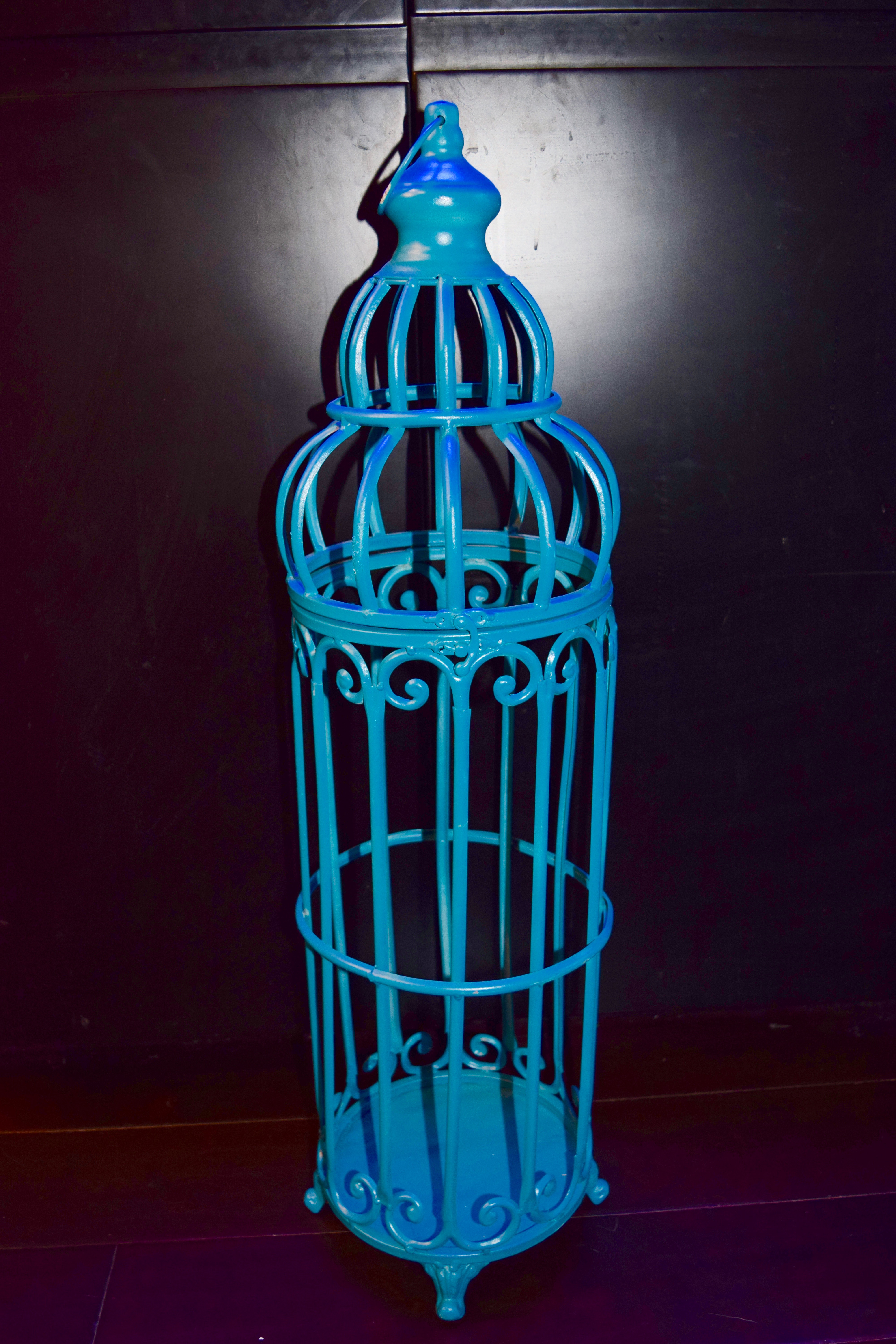 Blue Birdcage #1 $10