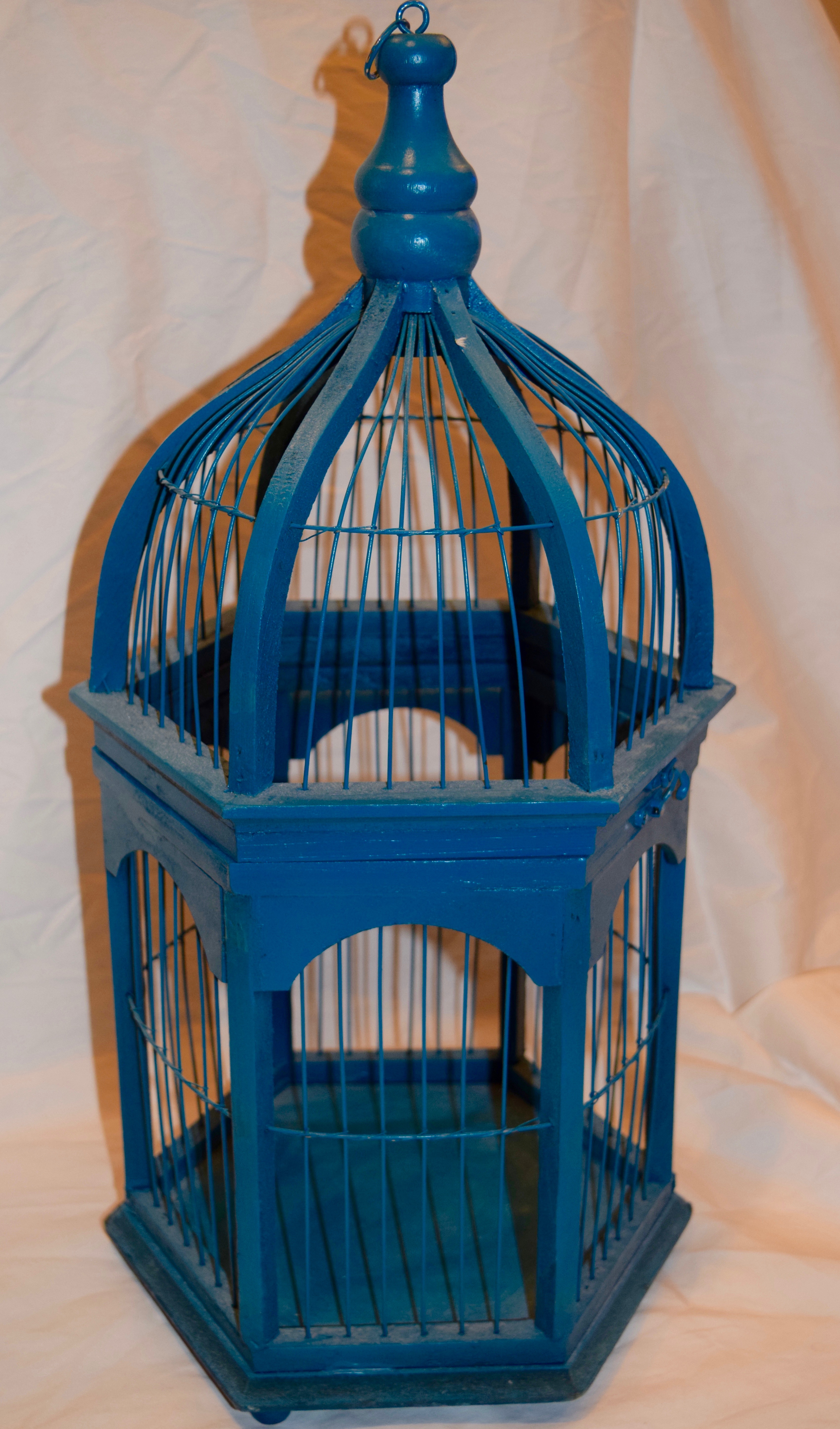 Blue Birdcage #2