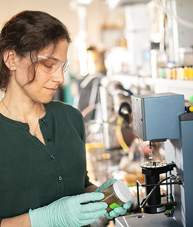 lab-sm.jpg