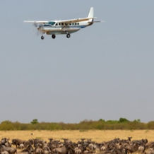 Flight via Tiny Plane to Serengeti.jpg