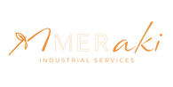 MERAKI SERVICES LOGO2.png