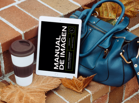 TRANSFORMACIÓN DE IMAGEN INTEGRAL