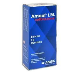 AMCEF 1G IM SOL 3.5ML. INYECTABLE (CEFTRIAXONA 1G IM SOL. INY.) AMSA