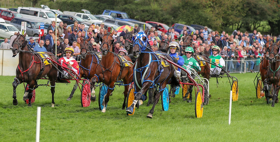 Torf Rasys Tregaron 2018.jpg