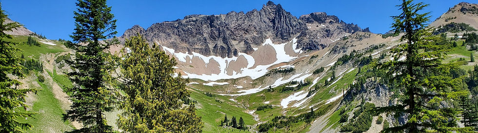Goat Rocks_edited.jpg