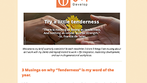 January 2026 Newsletter preview image