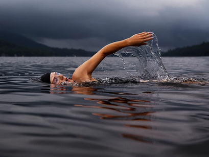 Just Keep Swimming