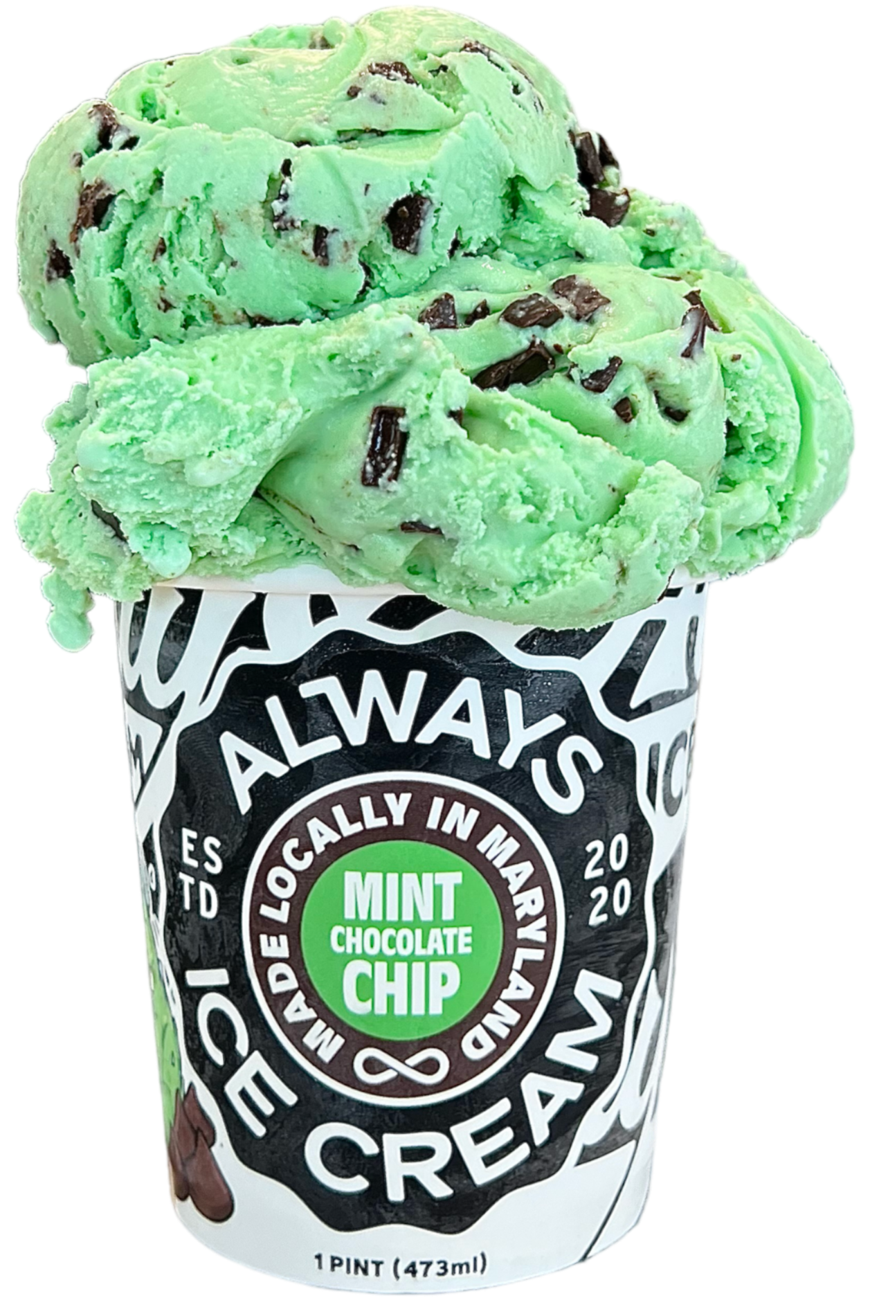 Mint Chocolate Chip