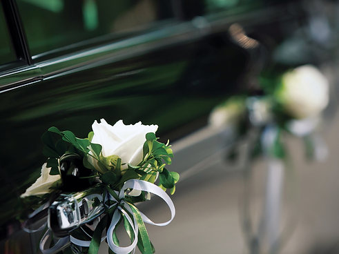 Codoni Autista per Cerimonie ed eventi