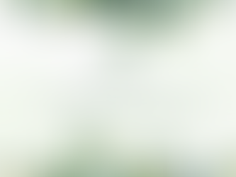 Floral graphic with the words ‘Sister, you are enough to be someone’s queen’ — encouraging single Christian women about their identity and worth.