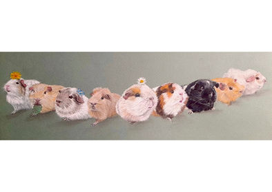 guinea pigs.jpg