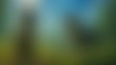 Gato gris ciego y gata gris moteada sobre una colina iluminada, con símbolos y espíritus en el cielo – resumen por capítulos del libro The Forgotten Warrior