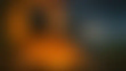 Gray Wing y Clear Sky, dos gatos grises, surgen de un libro en llamas con figuras felinas corriendo, bosque incendiado y tormenta al fondo – Orden de lectura – Warrior Cats Dawn of the Clans