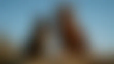 Redtail con pelaje tortuga oscuro mezclado entre negro, marrón y rojo óxido, mirada incómoda y cola anaranjada tensa, está de pie junto a Tigerclaw de pelaje marrón oscuro con rayas negras, pecho ancho y ojos ámbar fijos, ambos sobre una roca elevada con musgo seco, polvo flotando y fondo de zarzas y cortezas partidas – imagen del resumen por capítulos del libro Redtail’s Debt