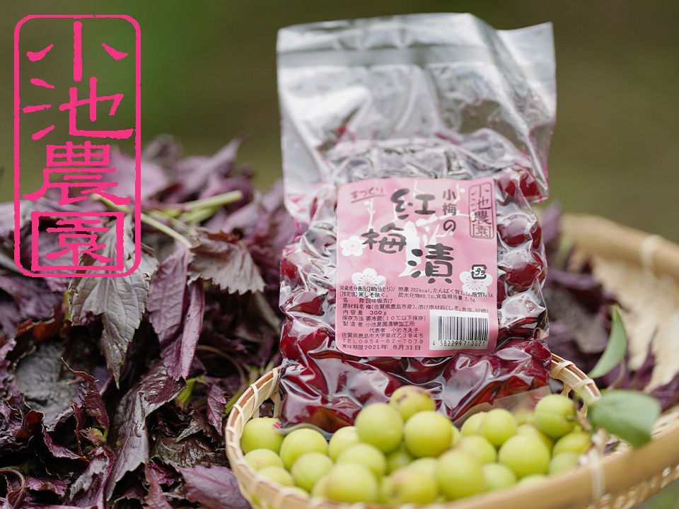 小梅の紅梅漬