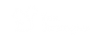 TaxStratNEW.png