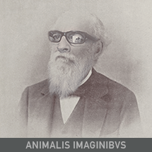 0_1_animalis_img_0_th
