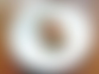 Zwei Calamaretti, gefüllt mit Salsicca, liegen auf einem Teller bereit zum Verzehr.